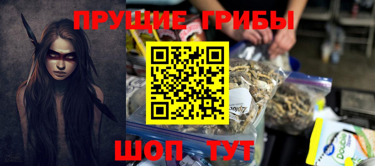 Галлюциногенные грибы GOLDEN TEACHER Верхняя Салда