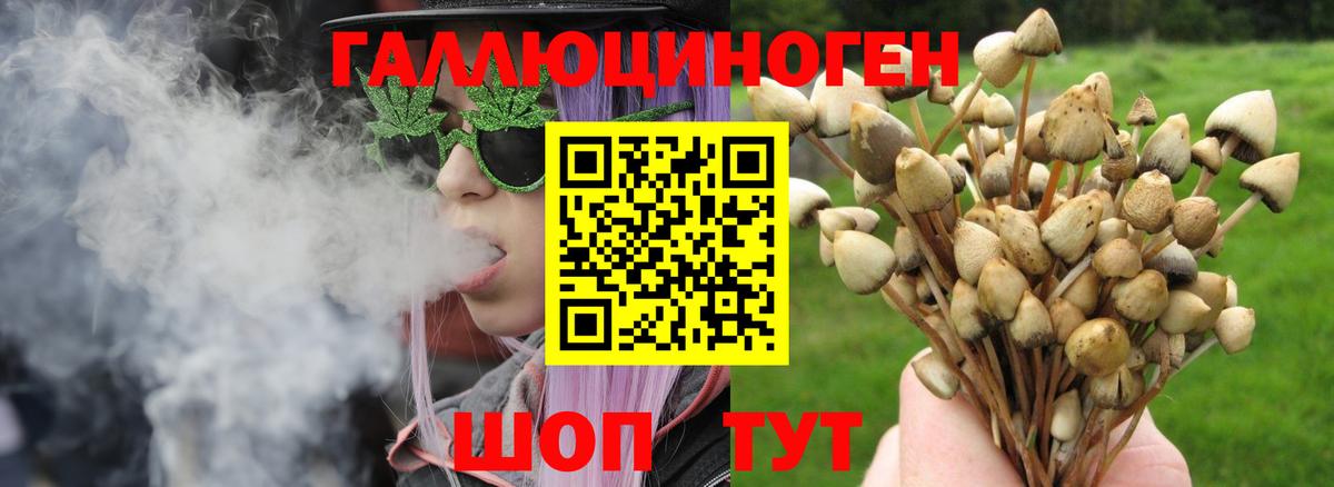 продажа наркотиков  Галлюциногенные грибы ЛСД  Вход с VPN  Верхняя Салда 